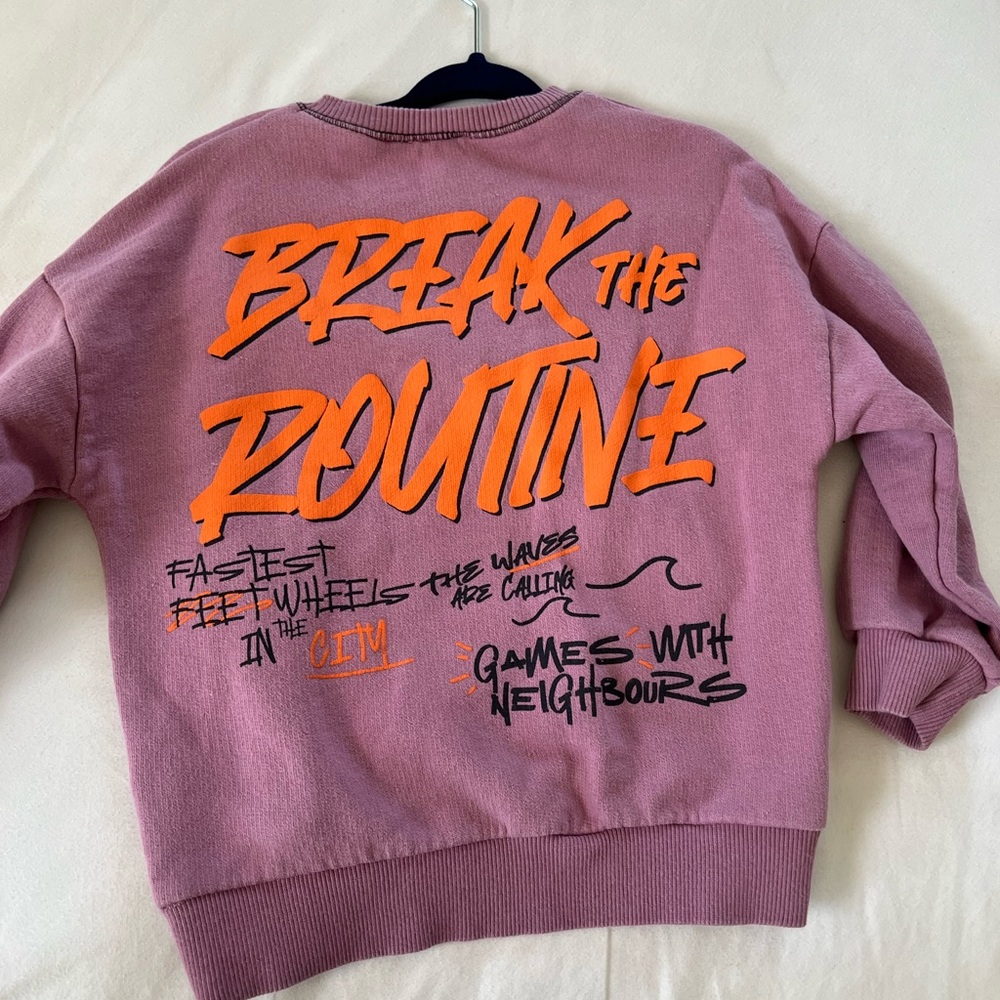 Zara Toddler Boy sweatshirt